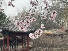 -安定门(地铁站)