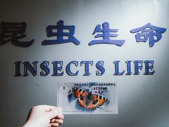 -上海昆虫博物馆