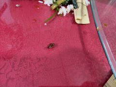 -无味饭店(九眼桥商业文化广场店)