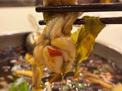 -川道拐耗儿鱼(旗舰店)