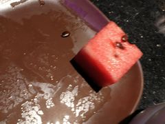 -韩盛炭火烤肉(万达广场店)