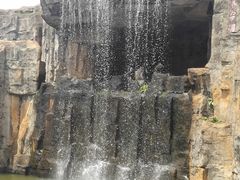 -海南热带野生动植物园