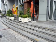 -Wagas沃歌斯(枫蓝国际店)
