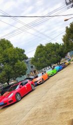 -宁波甬诚婚车(新典路店)