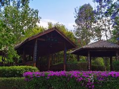 -西昌邛海湾柏樾酒店(原邛海湾柏栎度假酒店)