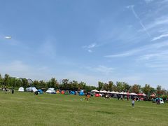 -春花秋色城市公园