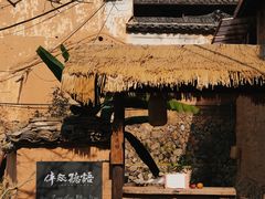 -杨家堂村
