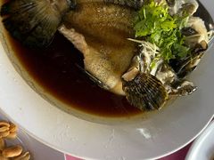 -旗鱼海番村(Orang Asli)