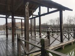 -溱湖国家湿地公园