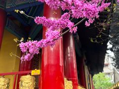 -西安市广仁寺