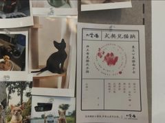 -山宅一喵德文卷毛猫舍