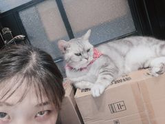 -猫色咖啡·猫咖