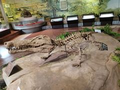 -自贡恐龙博物馆
