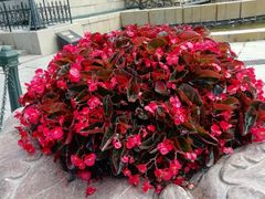 -人民防洪胜利纪念塔