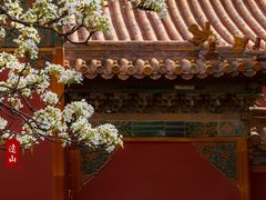 -故宫博物院(故宫)