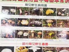-双喜农庄·菌香园(安居家园店)