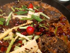 -老板恋上鱼(高新万达店)
