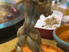 -铭记蛙小仙·活蛙畅享(CBD万达广场店)