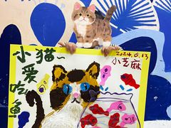 -尼莫儿童美术(三阳路融科天城校区)