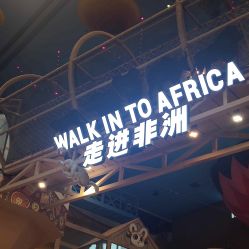 -卡通尼·Safari非洲探索乐园·生日会(金桥国际商业广场店)