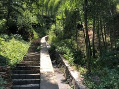 -莫干山风景区
