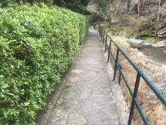 -溪口-滕头旅游景区