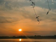 -贡湖湾湿地公园