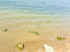 -丁香湖公园