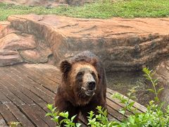 -海南热带野生动植物园