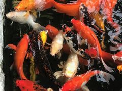 -番禺宾馆丽苑厅