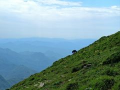 -灵山
