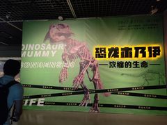 -台州博物馆