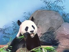 -苏州太湖国家湿地公园