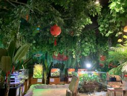 -酷嗒动物文化乐园(cutezoo西溪乐天城店)