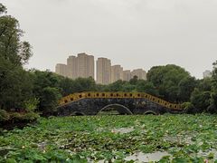 -南昌动物园