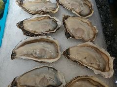 -海派美食·家宴海鲜青岛菜·石锅鲽鱼头(东方城店)