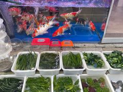 -青石桥花鸟鱼虫市场(叠翠城店)