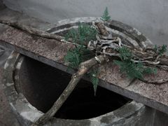 -墨池公园