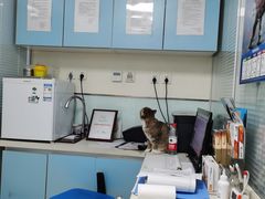 -瑞派·关忠动物医院·猫专科·犬专科(三环新城店)