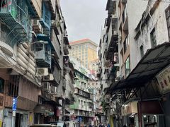 -洪馨椰子