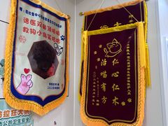 -芭比堂动物医院·24小时·眼科中心(深圳中心)