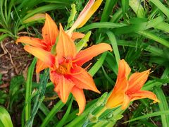 -长春市南湖公园