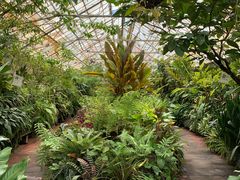 -墨尔本皇家植物园