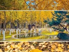 -艾溪湖湿地公园