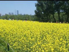 -长白岛森林公园