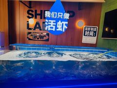 -0048鲜活香辣虾·火锅(铜陵路店)