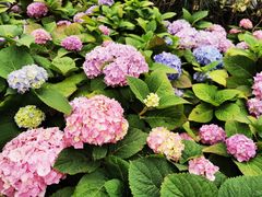 -苏州河梦清园环保主题公园