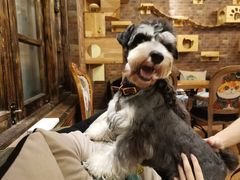 -more than meow吴止猫主题餐厅(承德 中船汇店)