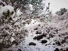 -灵山
