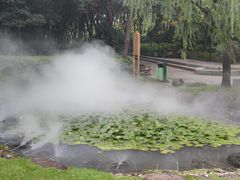 -苏州河梦清园环保主题公园